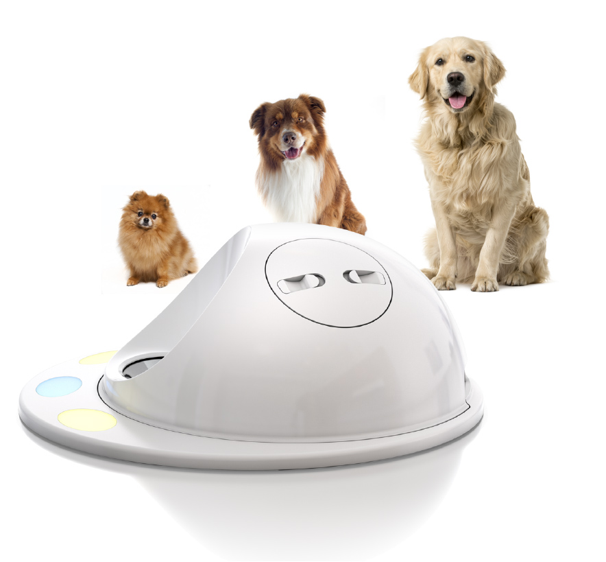Conheça o CleverPet Hub, o primeiro console para cães!