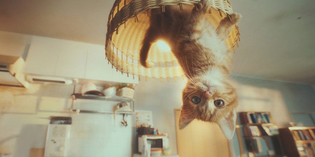 Gravity Rush 2: gatinho manipula a gravidade em incrível trailer live action!