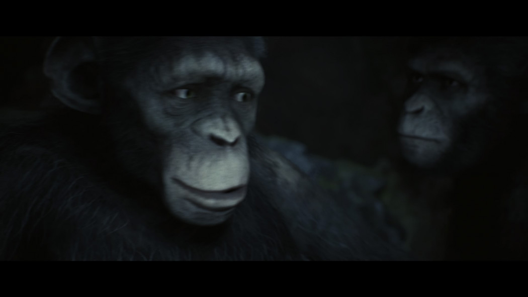 Planet of the apes last frontier обзор