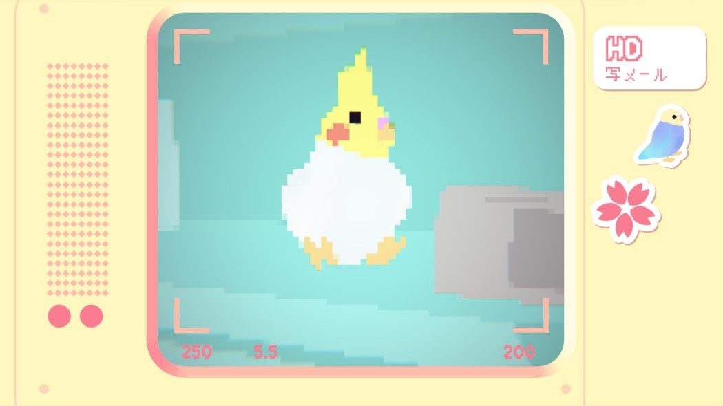 Toripon é um game relaxante de fotografar pássaros pixelizados