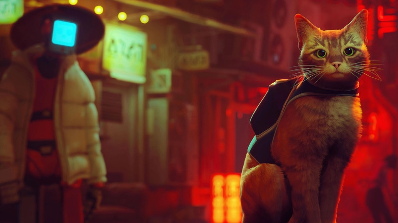 Streamers jogarão Stray em lives especiais, enquanto promovem adoção de gatinhos