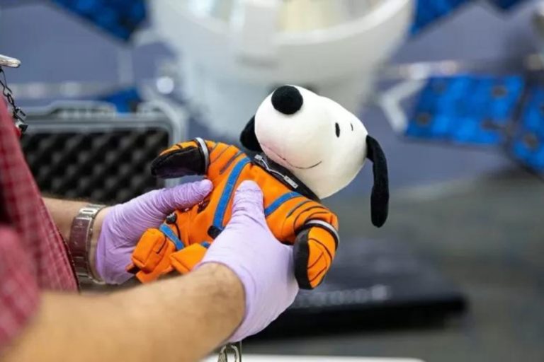 Snoopy de pelúcia volta para a Terra após "cumprir" missão na Artemis