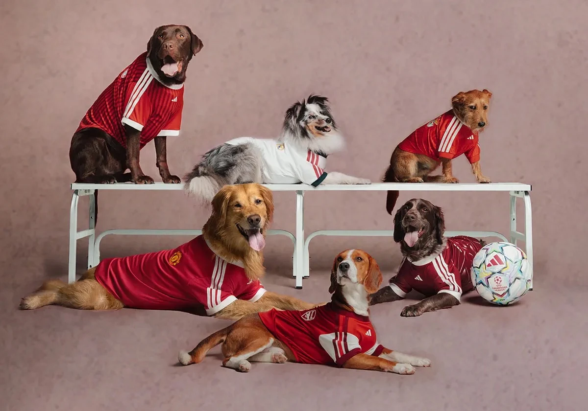 A Adidas quer ver o seu animal de estimação torcendo com você com camisas oficiais para pets
